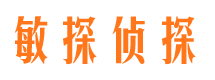 雷波寻人公司